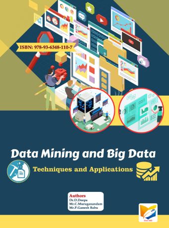 Data Mining and Big Data Techniques and Applications